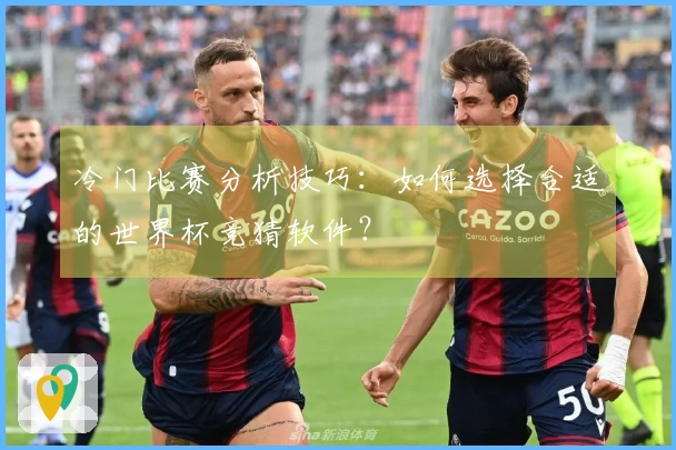 冷门比赛分析技巧:如何选择合适的世界杯竞猜软件?
